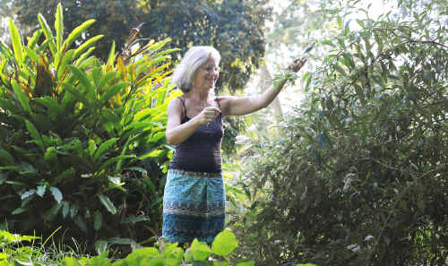 Inger Lenau in the Rose Cottage garden – ‘we forget sometimes that we, also, are nature’, she says. Inger Lenau in the Rose Cottage garden – ‘we forget sometimes that we, also, are nature’, she says.